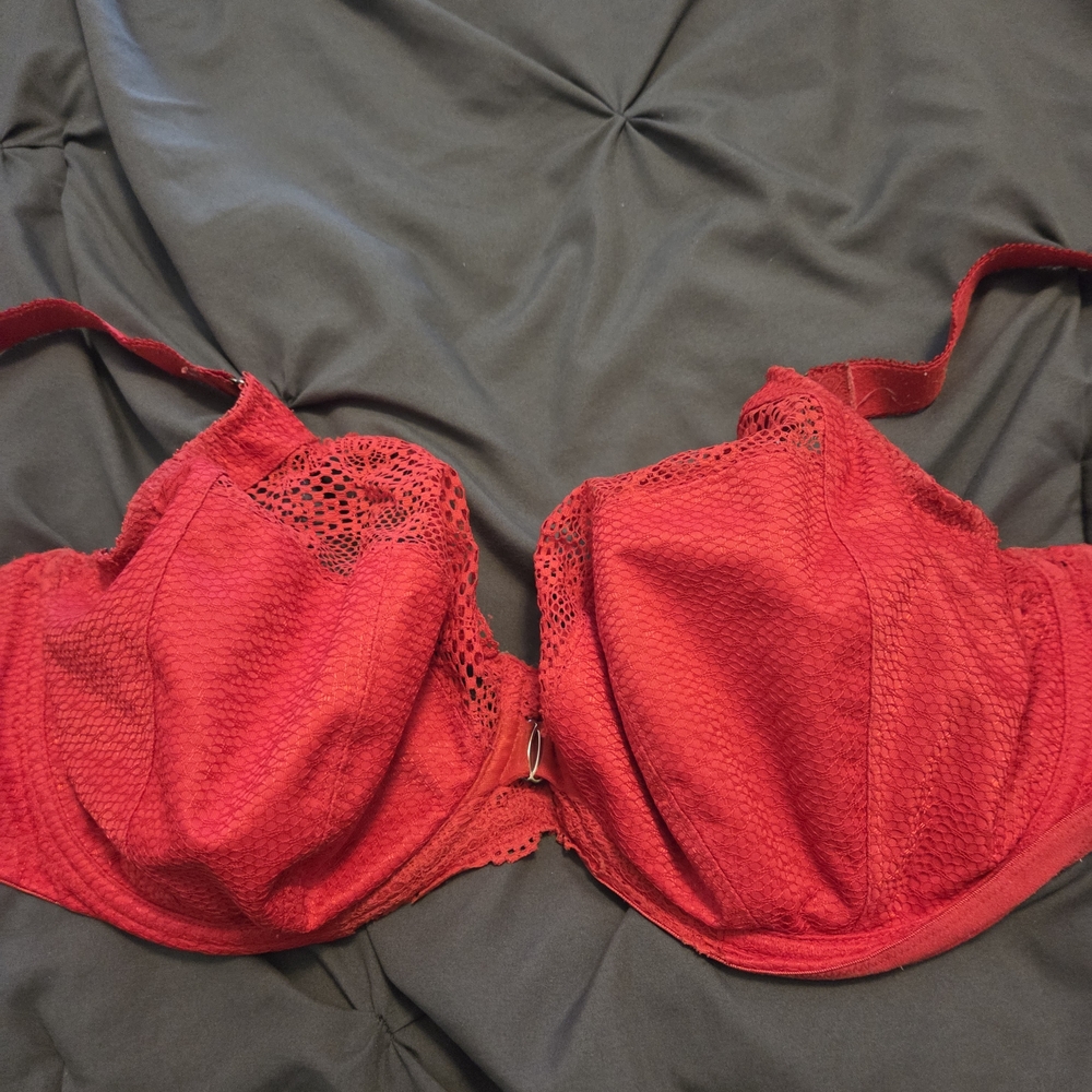 Elomi Charley Plunge Bra US 36J